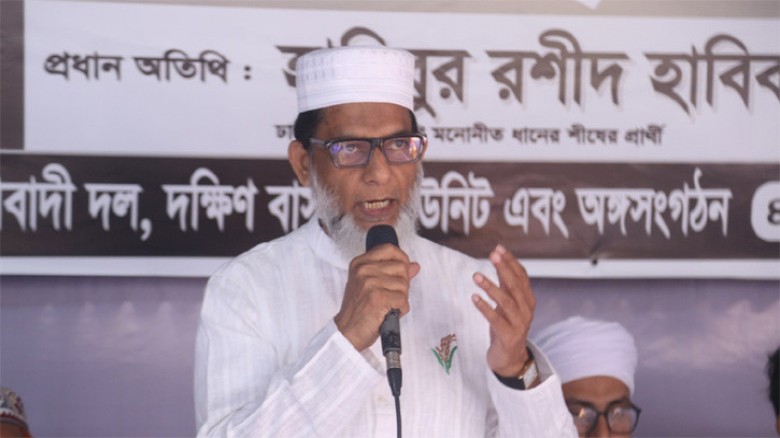 রাজনীতি আমার কাছে জবাবদিহিতার মাধ্যম: হাবিব